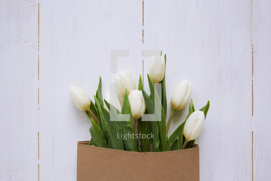 tulips in a paper bag 