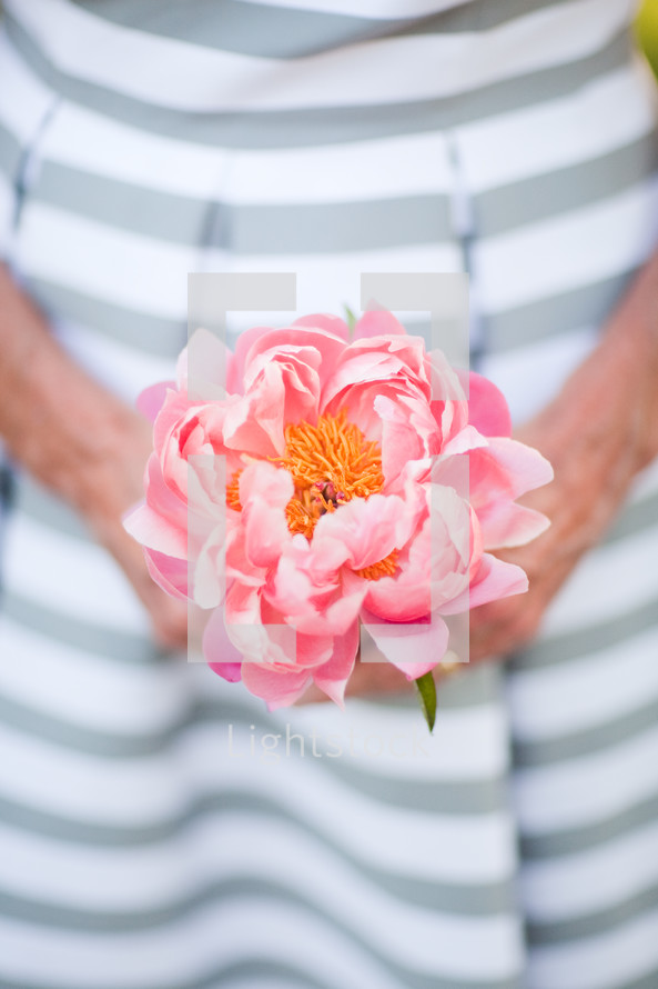 a woman holding a pink flower 