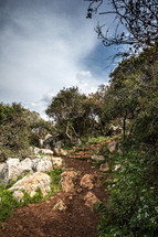 path on a hillside 