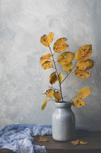golden fall leaves in a vase and gray scarf on a gray background 