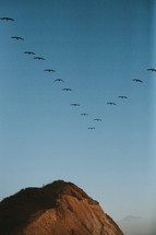 geese flying in a V 