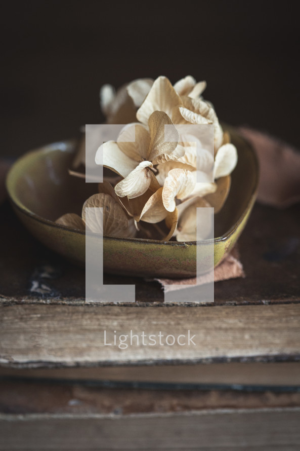 Tan flowers in a small heart dish on top of books