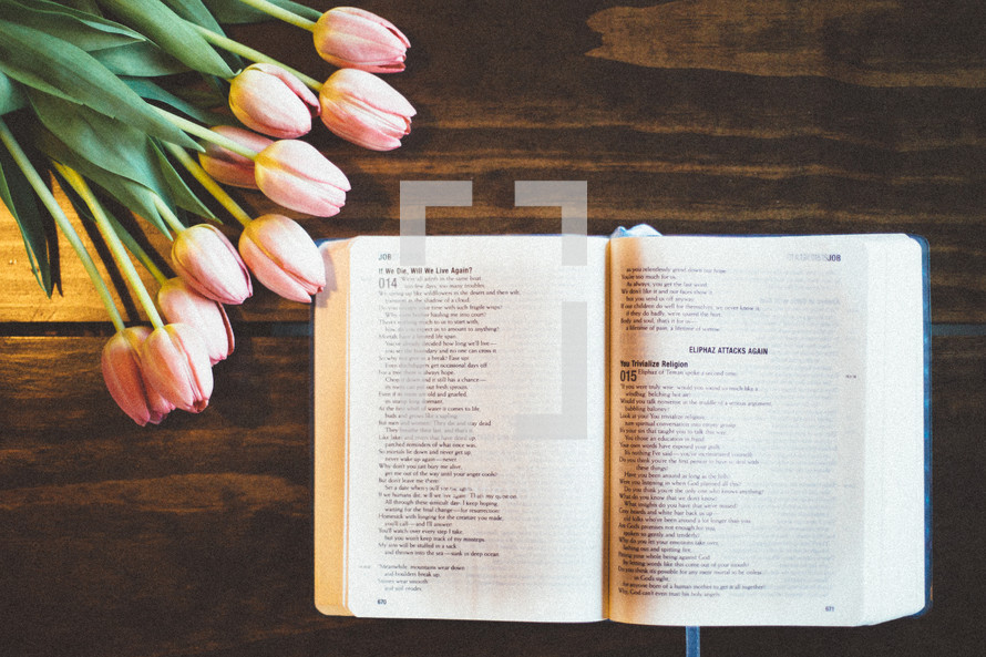 tulips and an open book on a table 