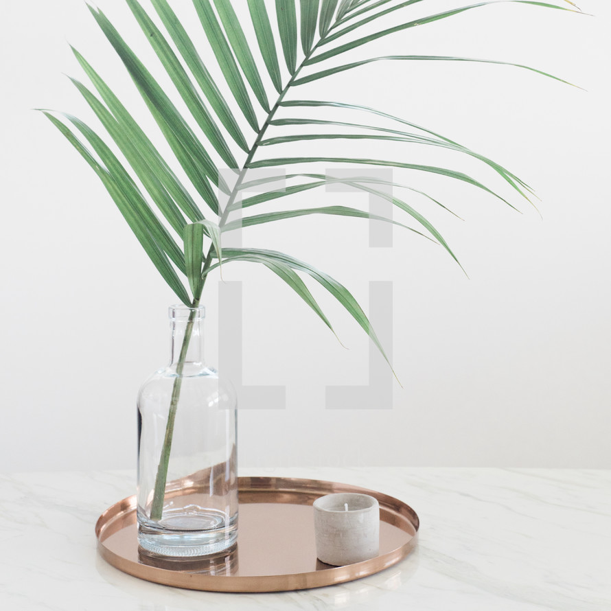 palm frond in a vase on a tray 