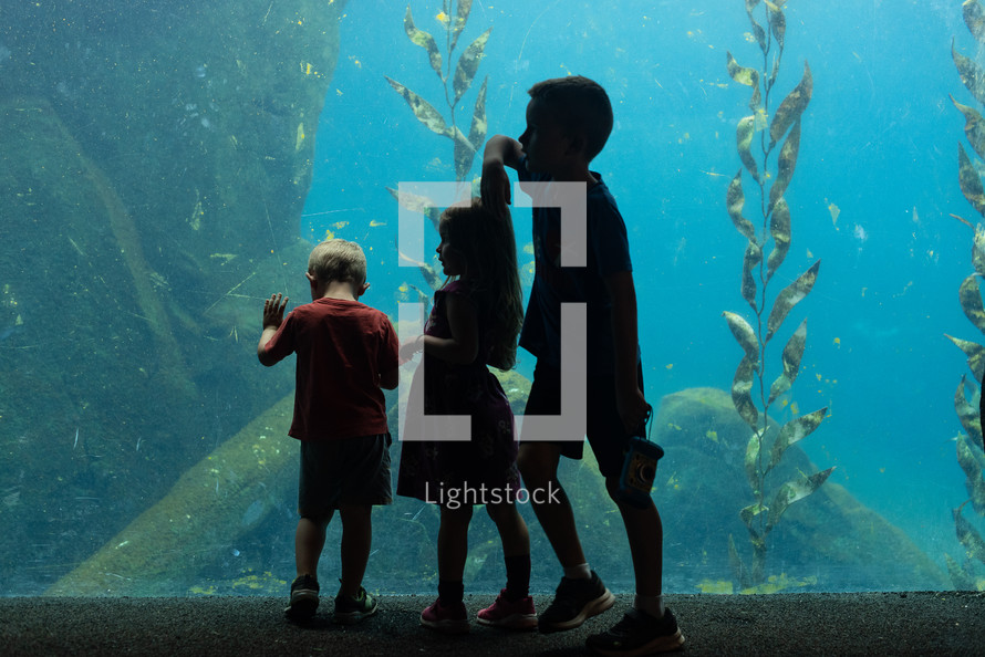 kids at an aquarium 