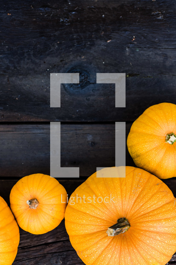 Fall, harvest, pumpkins on dark wood background, border, frame,  vertical