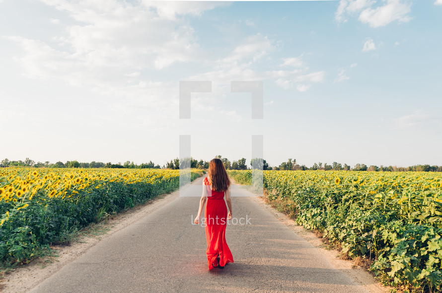 woman walking on a road and field of sunflowers
