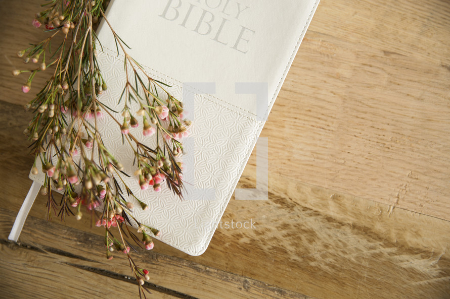 flowers over the cover of a Bible 