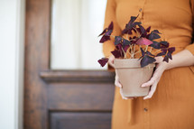 a woman holding a potted plant 