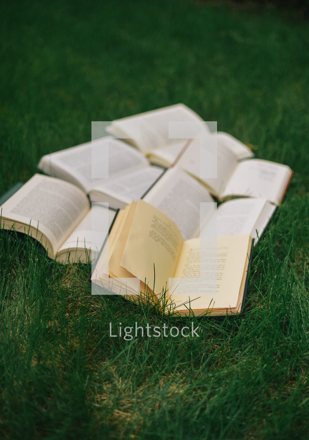 books scattered in a lawn