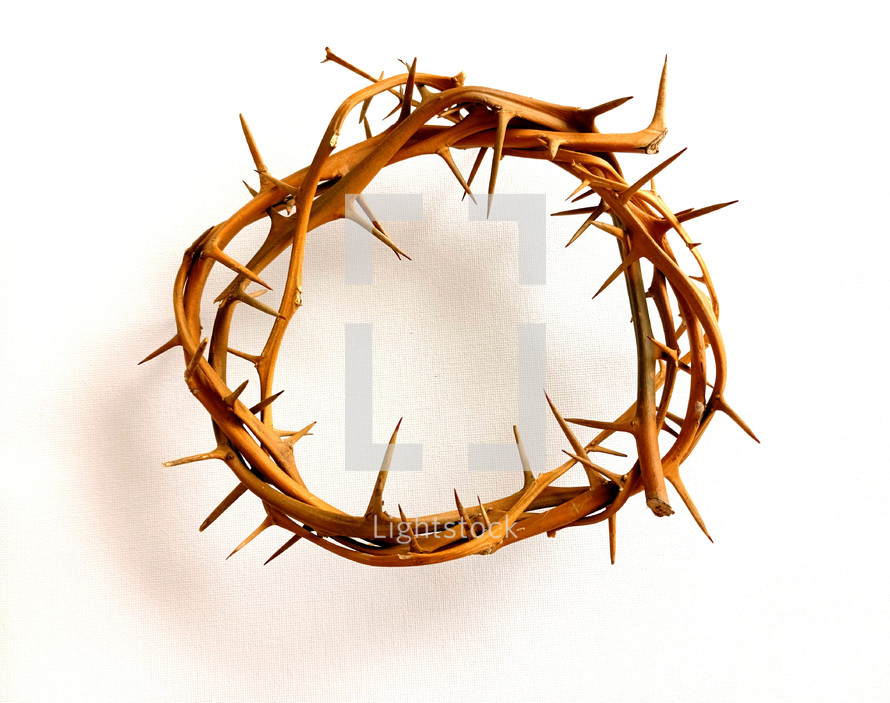 Crown of Thorns that was put on Jesus head during his crucifixion on the cross of Calvary. 