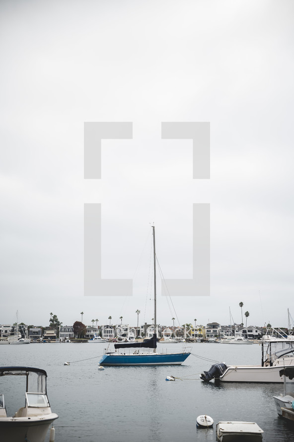 boats in a marina in Newport Beach, CA