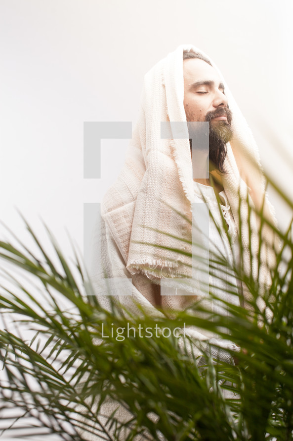 Jesus in palm fronds 