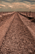 Country road between two fences.