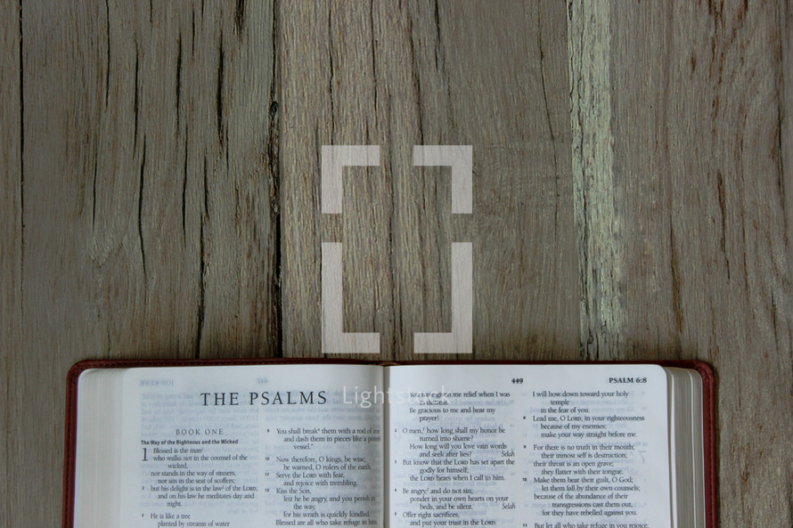 Bible opened to The Psalms 