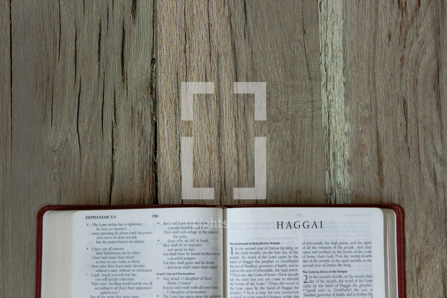 Bible opened to Haggai 