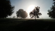 early morning foggy rural landscape 