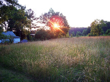 sunburst over a rural field 