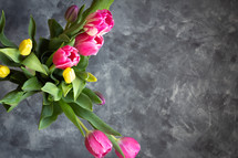 pink and yellow tulips on a slate gray background 