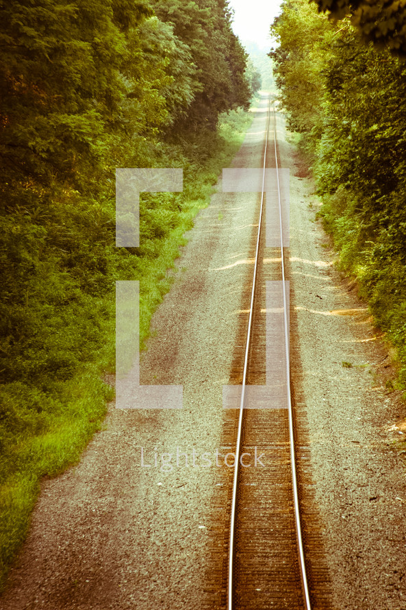 rural railroad tracks in summer 