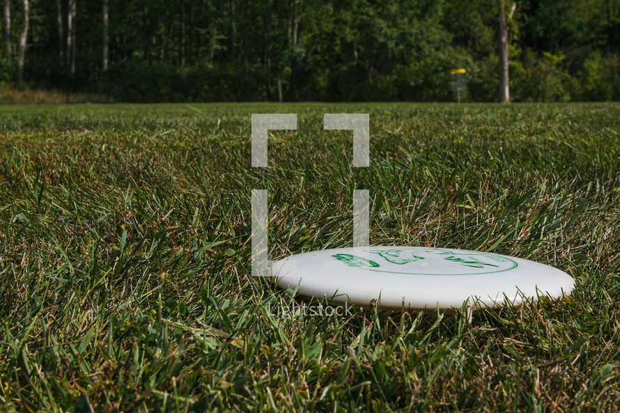 disc golf disc in grass