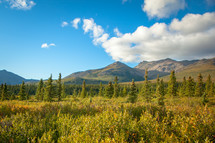 Alaskan mountain range landscape with clouds and trees