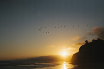 seagulls flying over the ocean near a beach at sunset