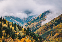 Foggy mountains and autumn colors