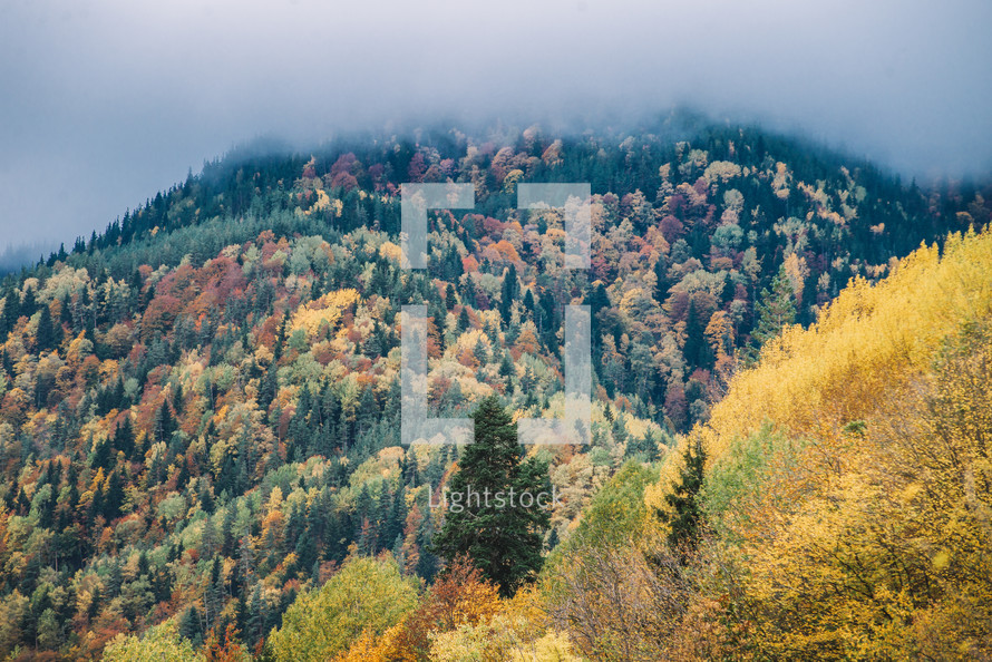 Foggy hill and autumn colors
