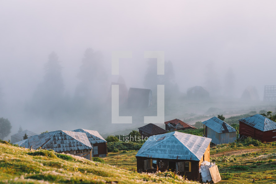 Foggy houses by the misty forest