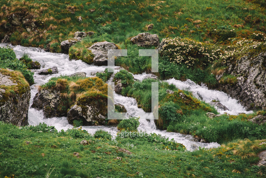Stream in the spring mountains