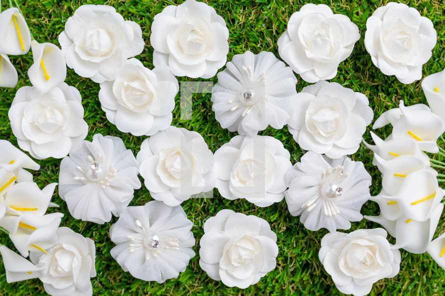 Bed of white Flowers flay layer background