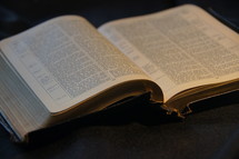 Antique King James Bible