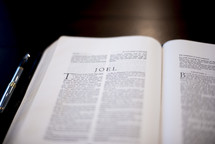 Bible opened to Joel