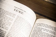 The Gospel of Luke 