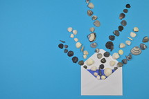 shells in an envelope 