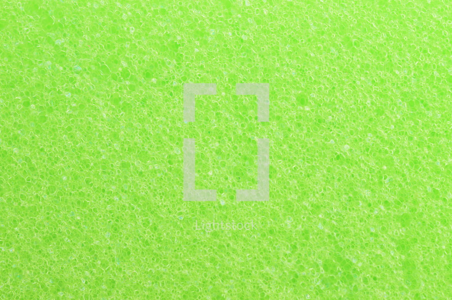 close-up of green sponge surface as texture background