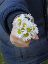 A handful of flowers.