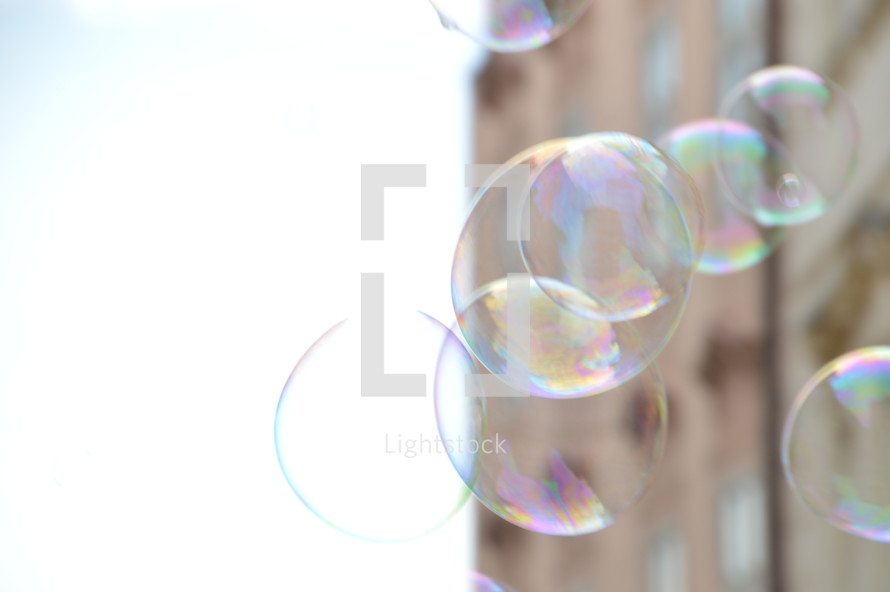bubbles 