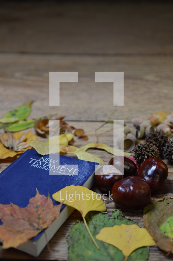 Bible and fall nature items 