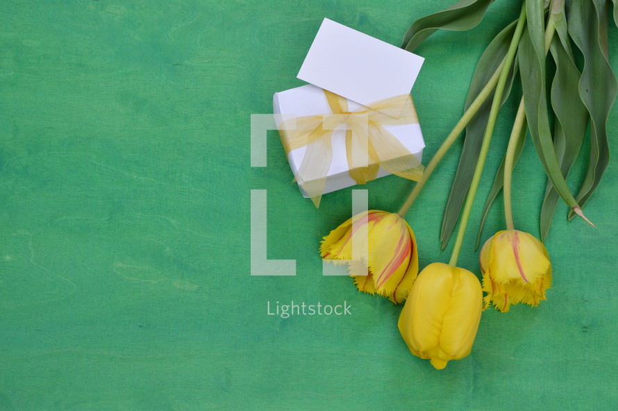 yellow tulips on a green background and gift box  with blank card