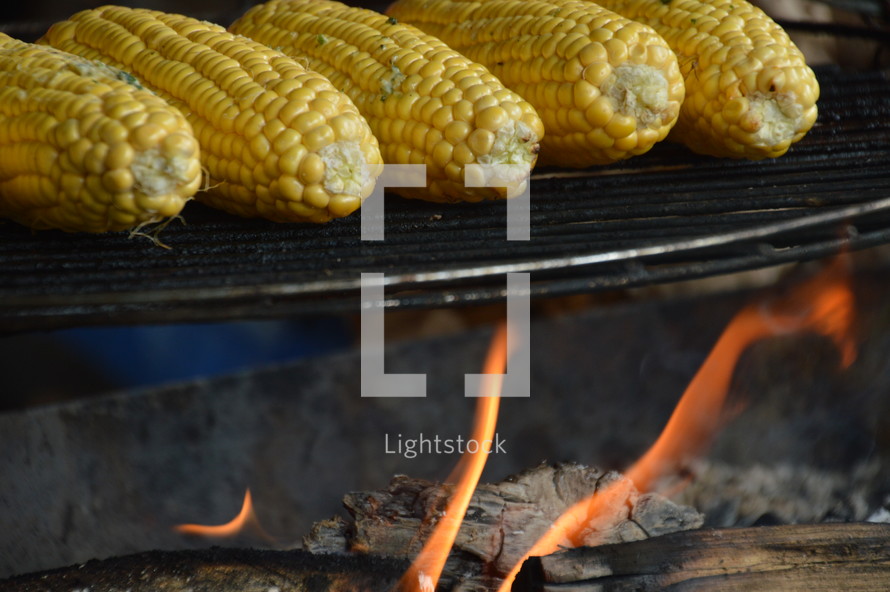 grilling corn over a fire 