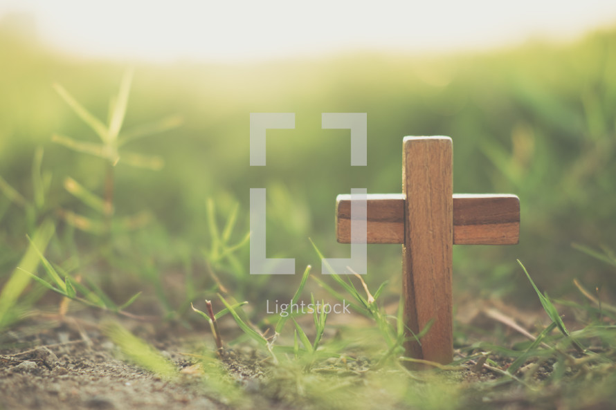 wooden cross in green grass