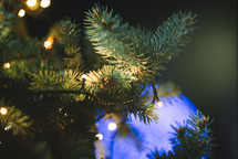 Lit Christmas tree at night close-up