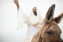 Jesus and a donkey