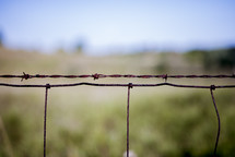barbed wire fence 