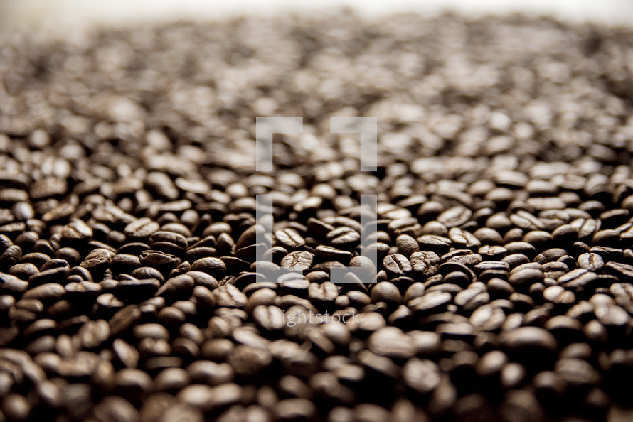 coffee beans background 