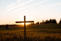 wooden cross in a field 