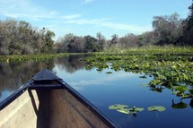 bow of a boat on a lake full of lily pads