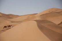 sand dunes and camels in a desert 